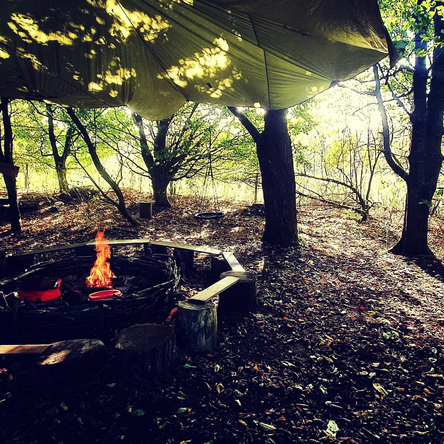 feral-voices-families-00004