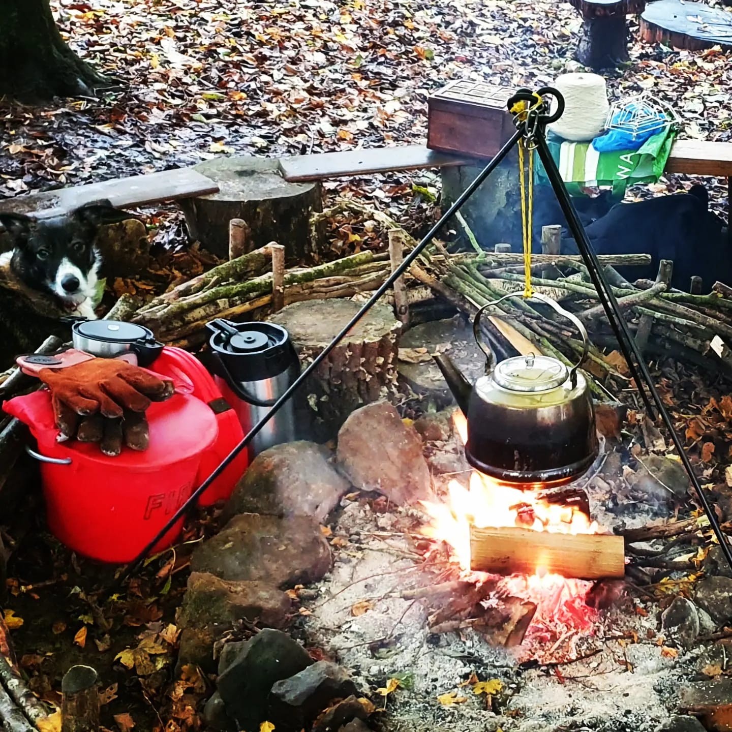 feral-voices-families-00005